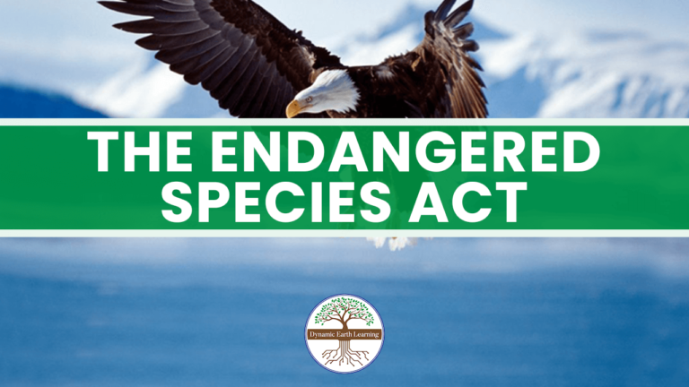 U.S. Endangered Species Act