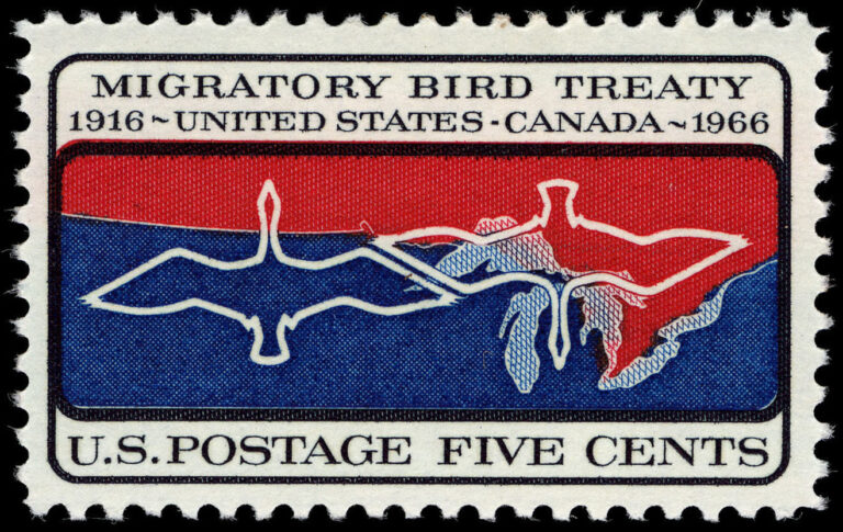 U.S. Migratory Bird Treaty Act